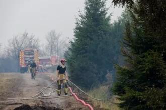 Incendios forestales azotan a Europa Bélgica combate fuego cercano a Alemania y Grecia investiga siniestros