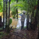 Petrobras halla petróleo en el pozo Morpho frente a la desembocadura del río Amazonas