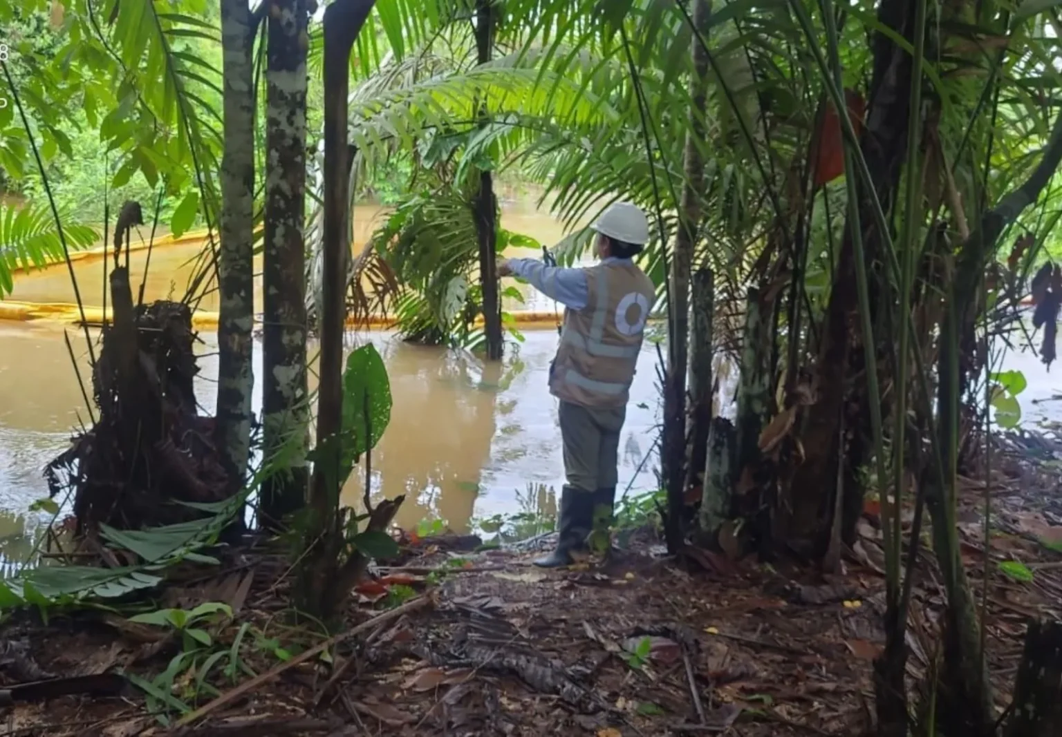 Petrobras halla petróleo en el pozo Morpho frente a la desembocadura del río Amazonas