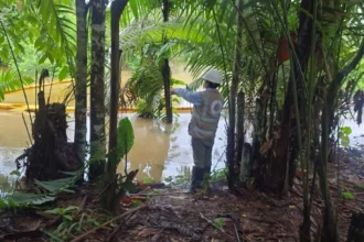 Petrobras halla petróleo en el pozo Morpho frente a la desembocadura del río Amazonas