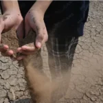 El Niño se intensifica y podría ser el más fuerte en 70 años; ONU alerta por calor extremo y sequías
