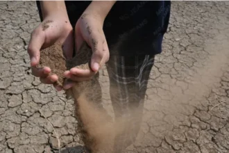 El Niño se intensifica y podría ser el más fuerte en 70 años; ONU alerta por calor extremo y sequías