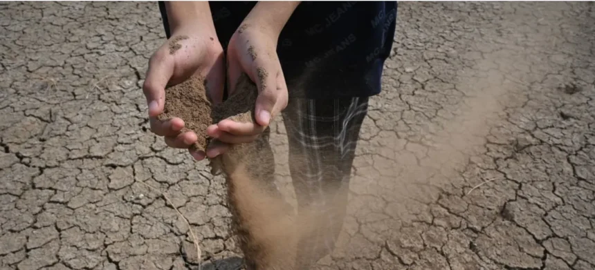 El Niño se intensifica y podría ser el más fuerte en 70 años; ONU alerta por calor extremo y sequías