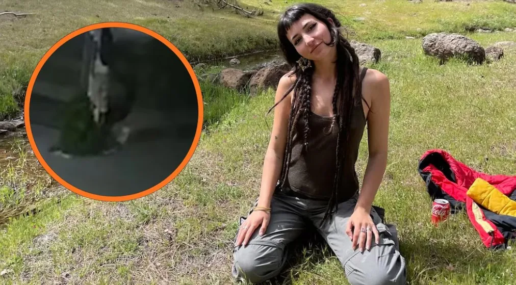 Identifican al sospechoso del feminicidio de Claudia Tacoronte y activan su búsqueda