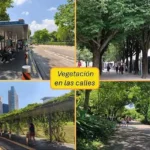 La temperatura en la CDMX podría aumentar más de seis grados, advierte Erik Velasco