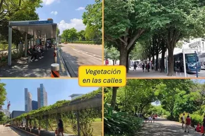 La temperatura en la CDMX podría aumentar más de seis grados, advierte Erik Velasco