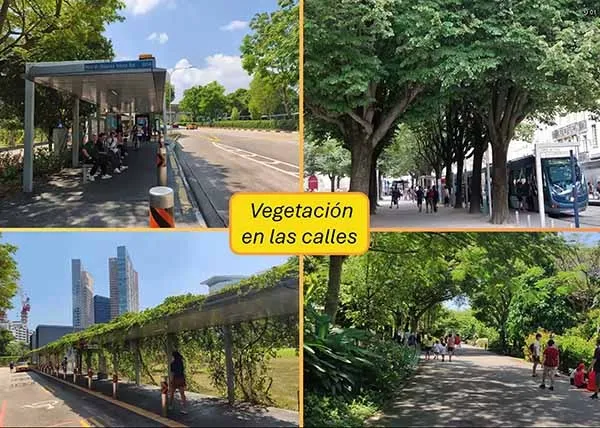La temperatura en la CDMX podría aumentar más de seis grados, advierte Erik Velasco