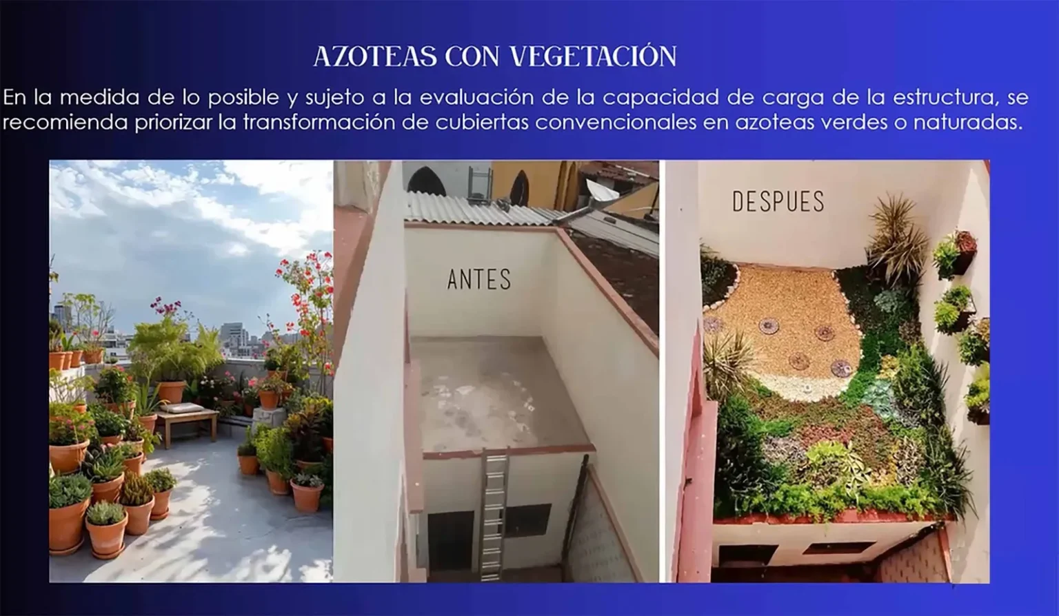 Ante altas temperaturas sugieren construcciones sustentables