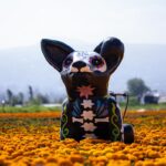 CDMX prepara alumbrado monumental de catrinas para celebrar el Día de Muertos