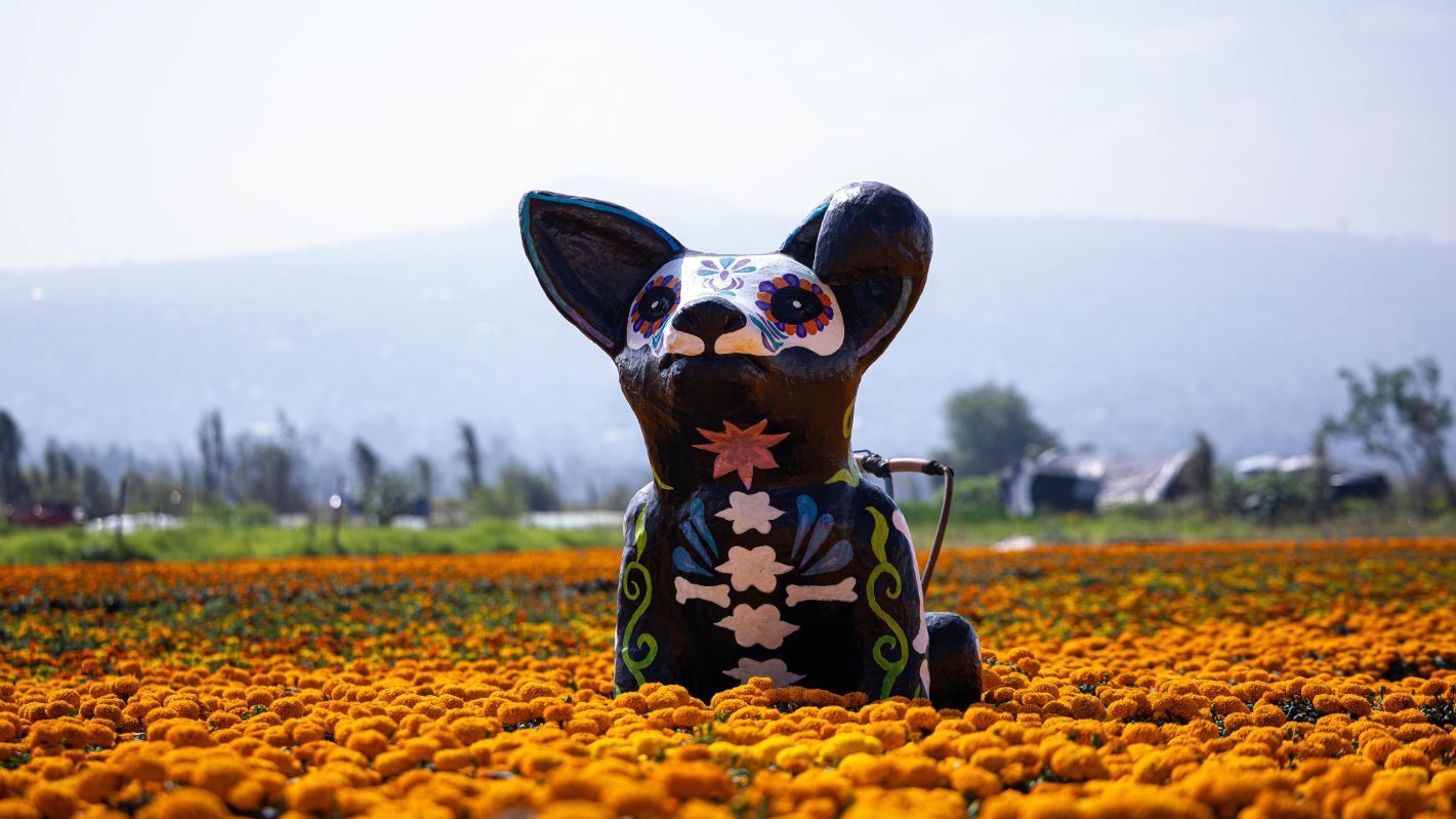 CDMX prepara alumbrado monumental de catrinas para celebrar el Día de Muertos