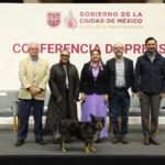 Clara Brugada presenta Ley de Rentas Justas con defensoría para inquilinos y propietarios