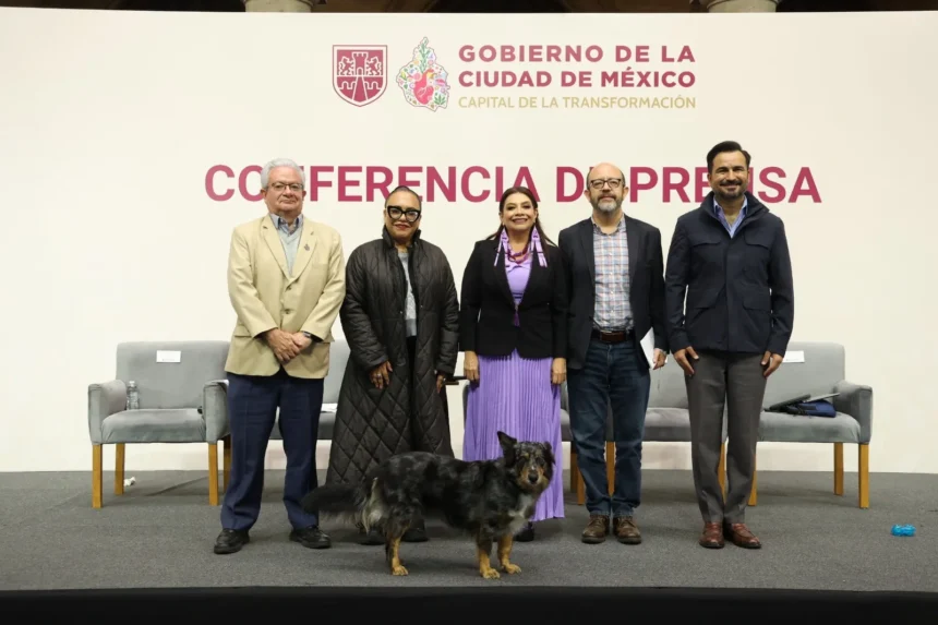 Clara Brugada presenta Ley de Rentas Justas con defensoría para inquilinos y propietarios