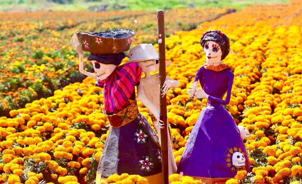 Festival de Día de Muertos en CDMX fechas, actividades y recorridos de Entre Xolos y Catrinas