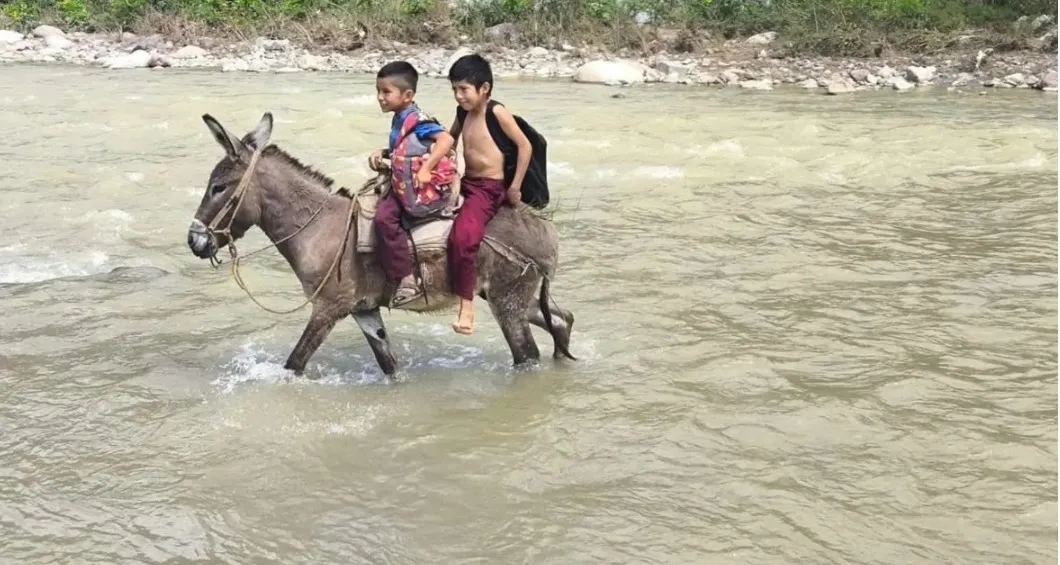 Niños de Guerrero arriesgan la vida al cruzar un río para llegar a sus escuelas